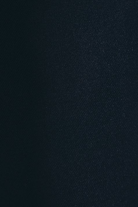 Men's Trouser Seidensticker  Regular Plain