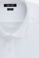 Chemise Aplomb Slim APLOMB-2100-CAMBRIDGE-100