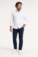 Shirt no iron Ingram Classic INGRAM-68909-GIK-IR-CT-ML-IV-01