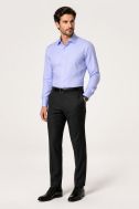 Chemise sans repassage Ingram Regular INGRAM-68909-INMED-IRN-ML-XT-02-AI2627