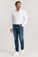 Bügelfreie Ingram Classic INGRAM-69310-GIK-IR-ST-ML-IV-01