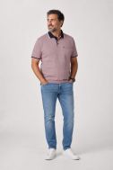 Polo shirt Casamoda Classic KE-CASAMODA-126320131-402