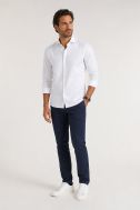 Hemd Xacus Regular PKR-XACUS-11230-558-001