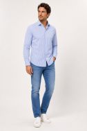 Bügelfreie Xacus Regular PKR-XACUS-11810-WF558ML-005