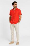Shirt Ingram Regular SKTB9244D9REGULARC3E