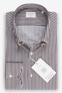 Shirt no iron Xacus Regular PKR-XACUS-11810-WF507ML-012