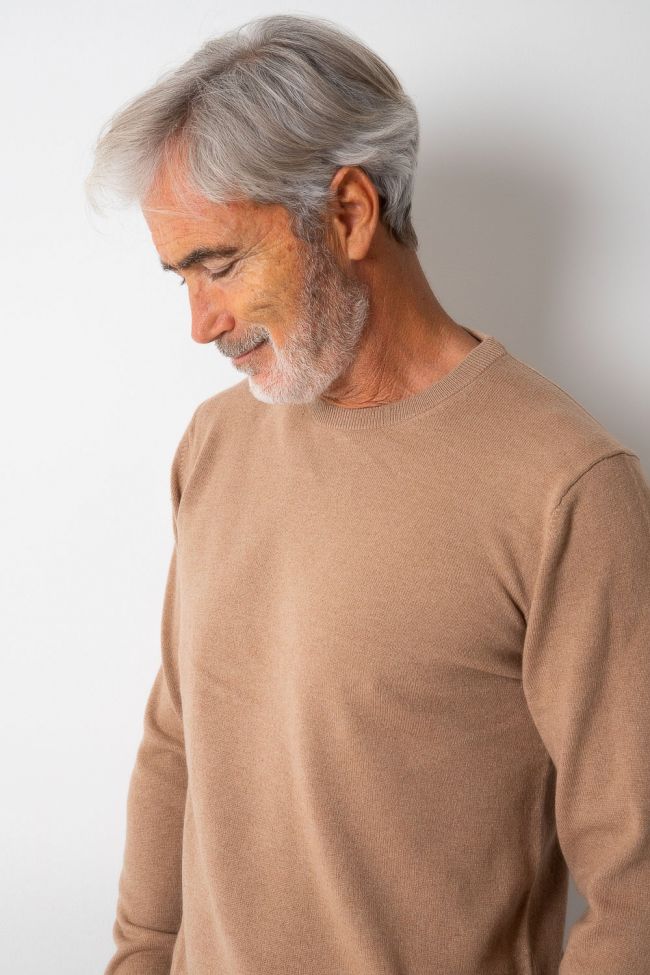 Pull Gant Classic GANT719-8050003-295